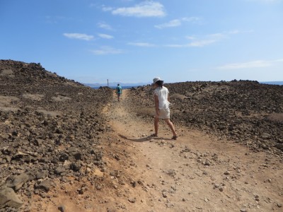 12_lobos_island