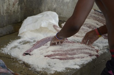 Salt curing bonito in Tarrafal, Santiago