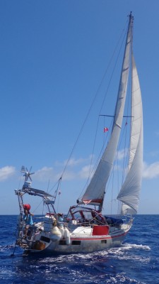 19_regatta
