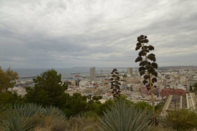 1_alicante