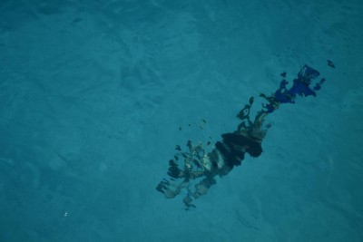A new bread of fish...or Paul diving at Cala Coticcio, Sardinia, Italy. 