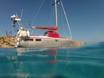 Arbutus likes her new home at Cala Coticcio, Sardinia, Italy. 
