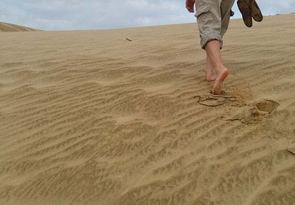 Te Paki Sand Dunes, North Island