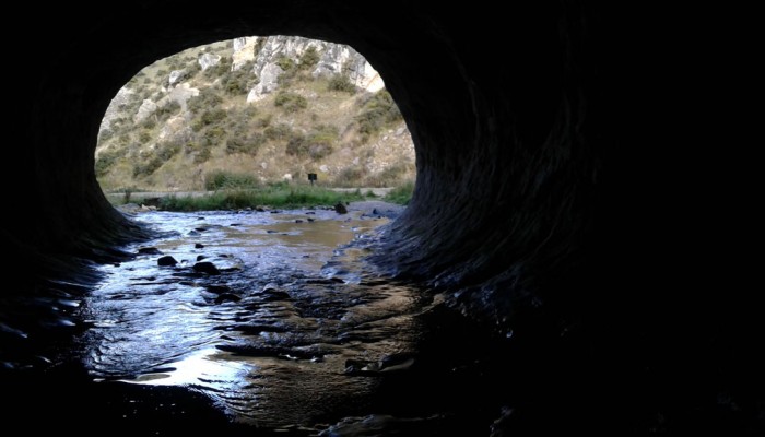 Cave Stream, 100 kilometres from Christchurch