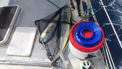 20180703_114820