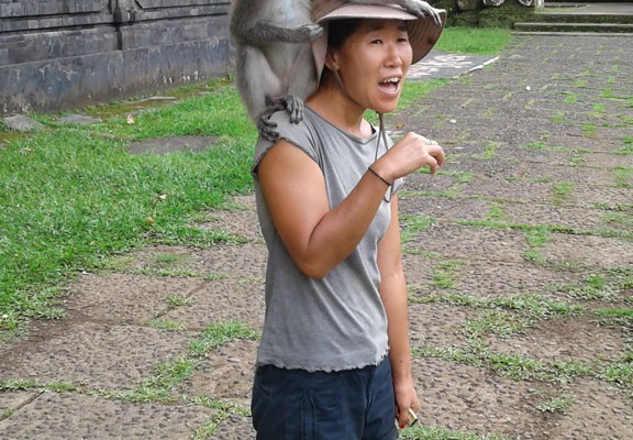 Sangeh Monkey Forest