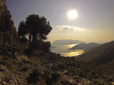 Arbutus hanging out in Emporios Bay, Kalymnons
