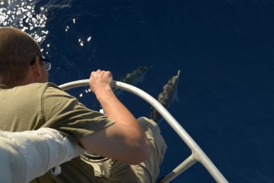 2_tosardinia