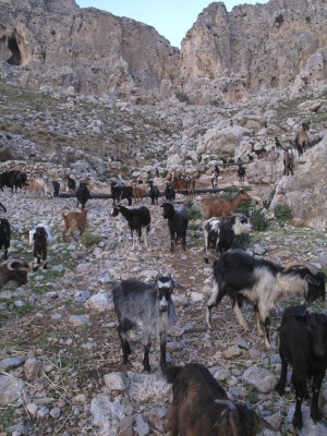 The approach from Emporios, Kalymnos !!!