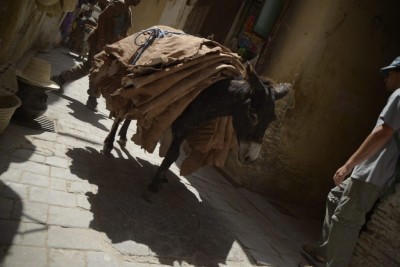 4_fes_morocco
