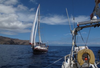 51_bluebelle_lagomera