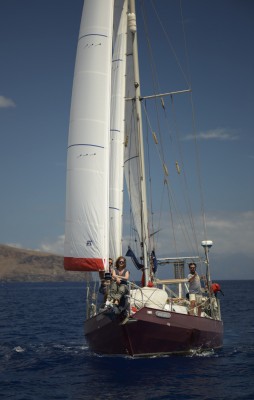 54_bluebelle_lagomera