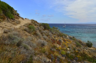 5_La Revellata_Corsica