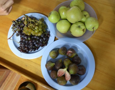 The fruit we picked on our hike