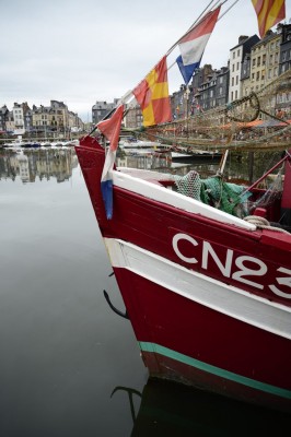Port de Honfleur