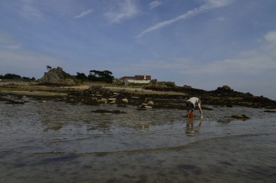 On cherche à manger dans le sable ...