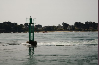 _DSC1141