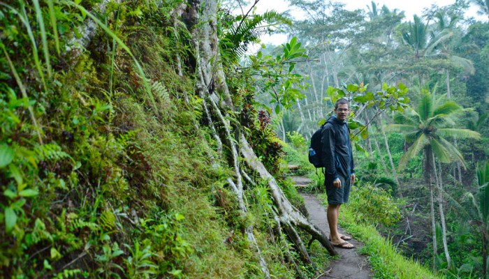 Tegallalang Rice Terrace
