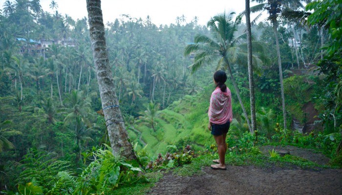 Tegallalang Rice Terrace