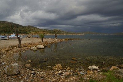 _DSC2989