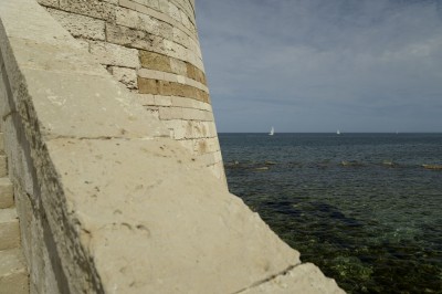 _DSC3621