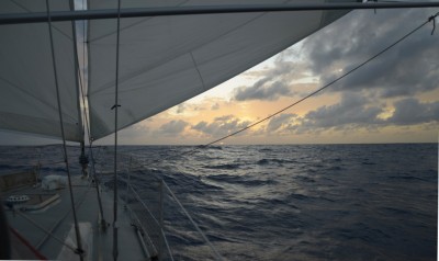 _DSC5250