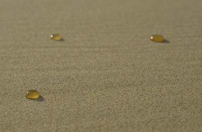 _DSC6416