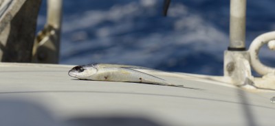 _DSC6936