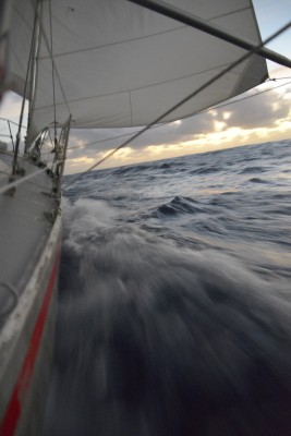 _DSC6966