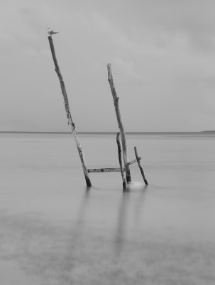 _DSC8098