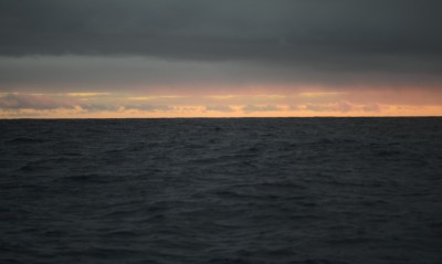 _DSC8282
