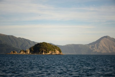_DSC9525