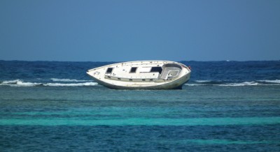 DSCF2706