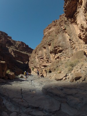 DCIM100GOPRO