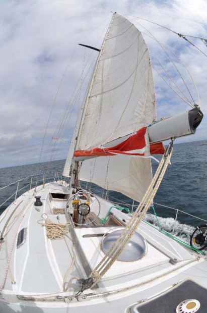 arbutus_sailing