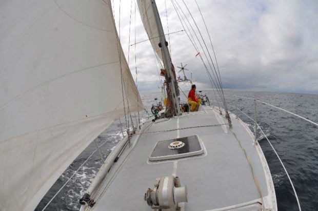 arbutus_sailing2