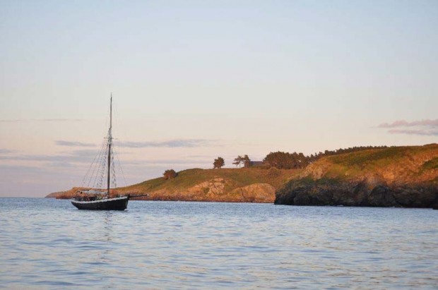 arbutus_sailing3