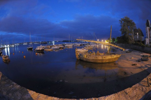 arbutus_sailing5