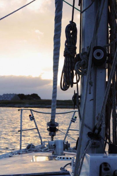arbutus_sailing7