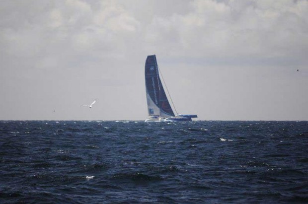 arbutus_sailing8