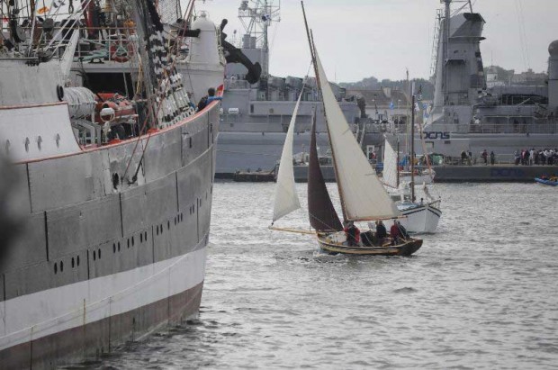 arbutus_sailing_breast