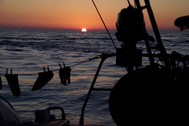 arbutus_sailing_englishchannel