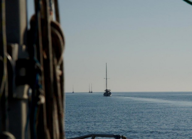 arbutus_sailing_englishchannel2