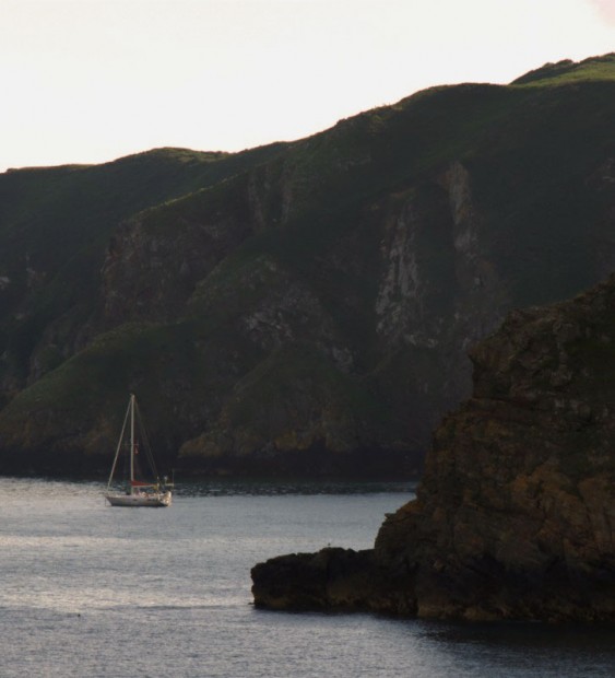 arbutus_sailing_sark
