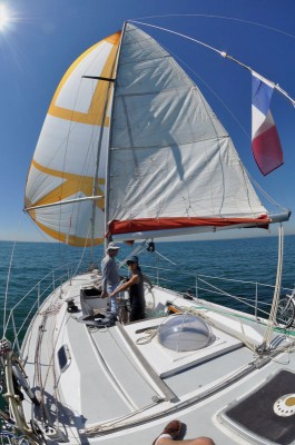 arbutus_sailing_stvast