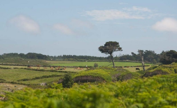 arbutus_sailing_tresco-3