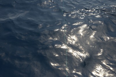 f44186496