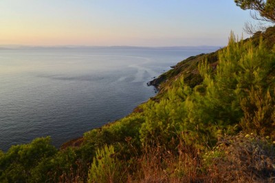 porquerolles2